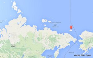 Tam ekran yakalama 13.08.2015 005445