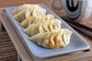 gyoza