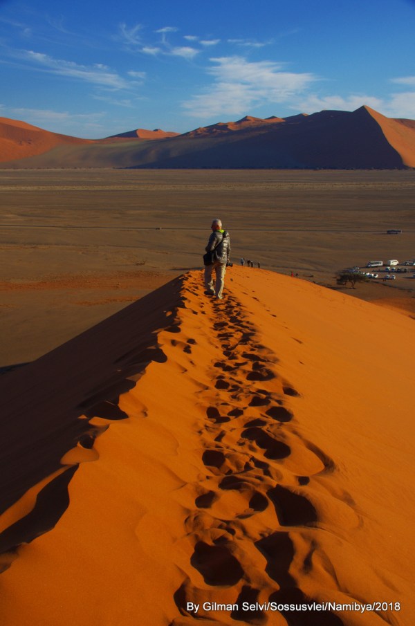 IMGP6981 (1)-002.JPG