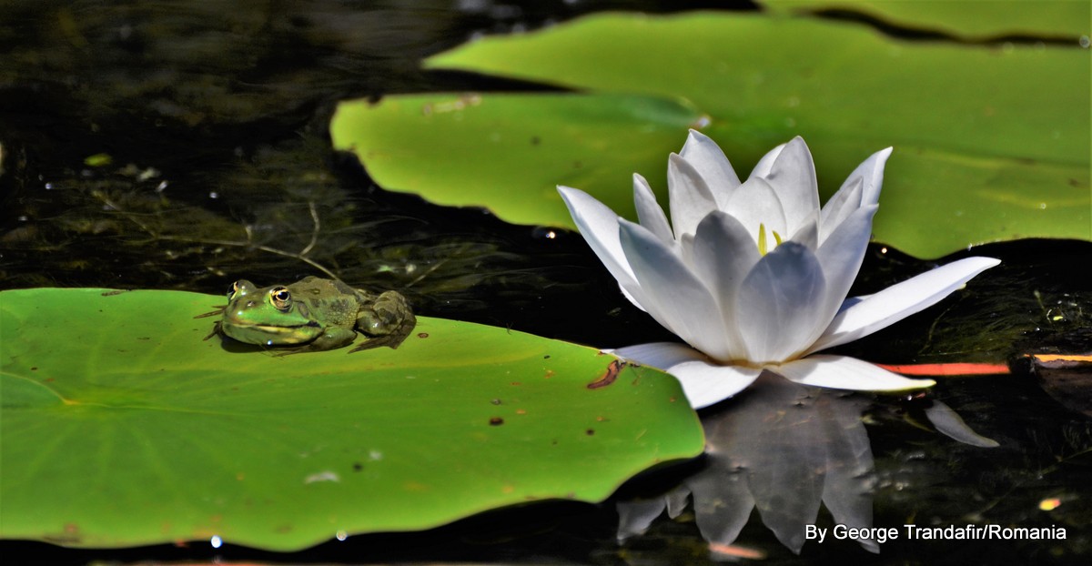 private-guided-tour-in-danube-delta-005