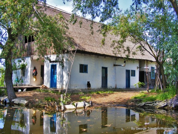 private-guided-tour-in-danube-delta-007