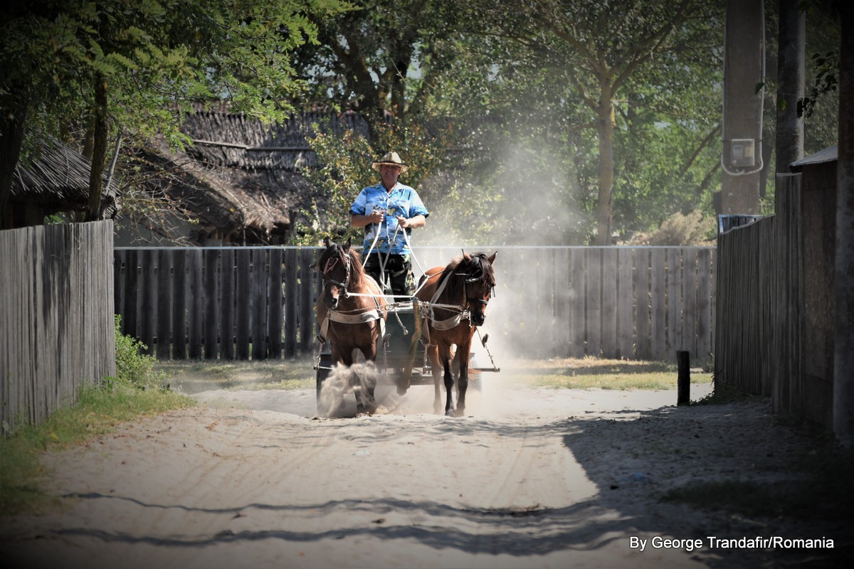 private-guided-tour-in-danube-delta-009