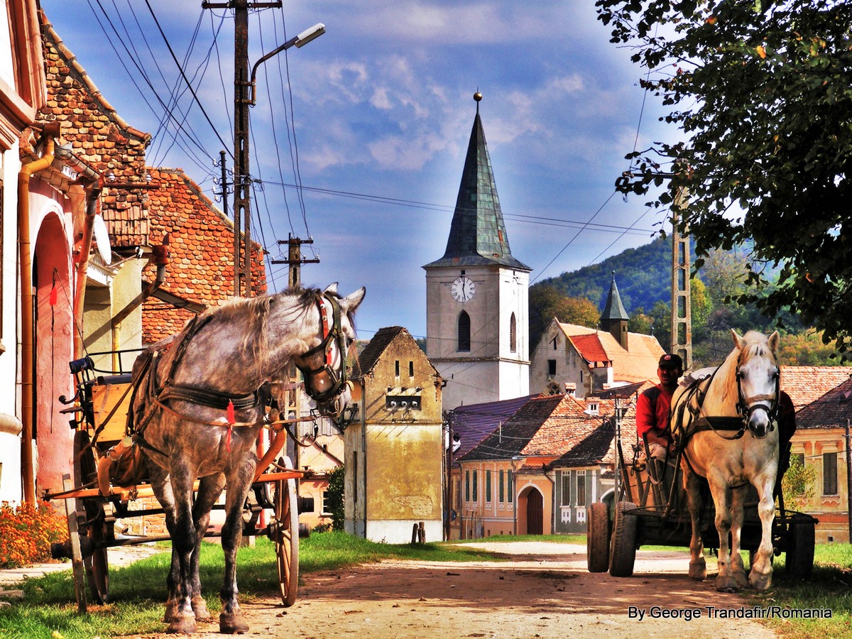 private-guided-tour-in-transylvania-romania-012
