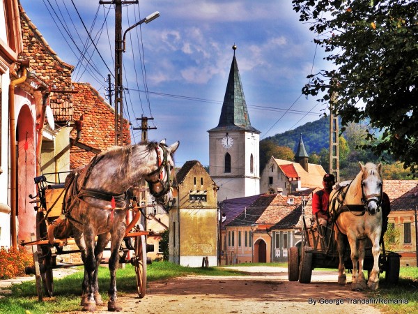 private-guided-tour-in-transylvania-romania-012
